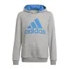 Adidas BL Boy's Hoodie