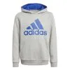 Adidas Essentials Big Logo Boy's Hoodie