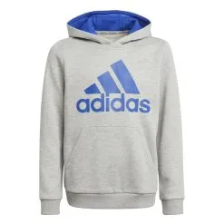 Adidas Essentials Big Logo Boy's Hoodie